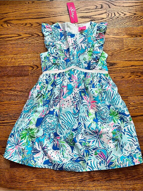 NWT Lilly Pulitzer Madelina Dress